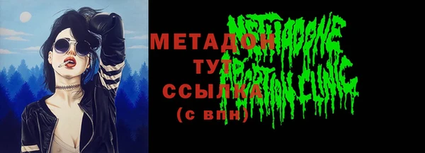 шишки Новозыбков