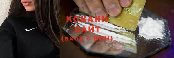 молекула духа Усинск