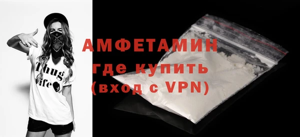 шишки Новозыбков