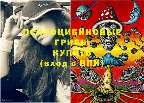 шишки Новозыбков