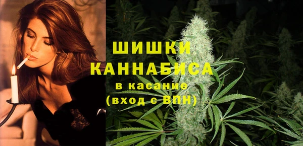 шишки Новозыбков