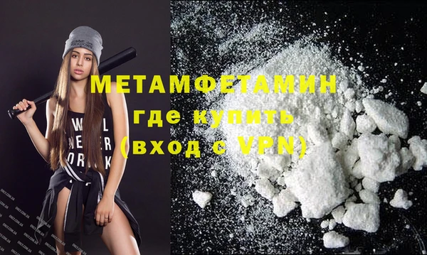 шишки Новозыбков