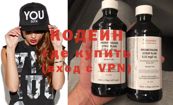 шишки Новозыбков