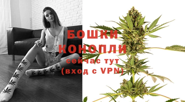ГАЛЛЮЦИНОГЕННЫЕ ГРИБЫ Новодвинск