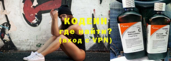 шишки Новозыбков